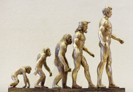 photo of statue depicting evolution growth from monkey to man